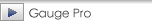 GaugePro